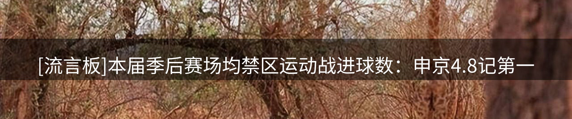 资讯动态